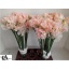 product/img.ozexport.nl/LLATHROMS-LIVE_fotos-0xEB85FC1AEEE9F2770C3BF99AC11C9FE13424C500.jpg