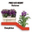 product/img.ozexport.nl/LLEVANYPUR-LIVE_fotos-0xFCB55897F68ECD2A4B06FF9D59F43803781846A5.jpg
