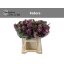 product/img.ozexport.nl/LLEVFED-LIVE_fotos-0xA63C9179EA1143A55A921B73244E52F0F859FCFD.jpg
