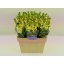 product/img.ozexport.nl/LLEVMATY-LIVE_fotos-0x005AEACBE517ED4749B2884724B24573C384BB39.jpg