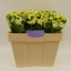 product/img.ozexport.nl/LLEVMATY-LIVE_fotos-0x4AFFE5CC16B3E01977F660A944D7D71BB2B2BD85.jpg
