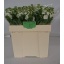 product/img.ozexport.nl/LLEVV-LIVE_fotos-0x1E5567D02FE87EA88184CD994C733AE9833F8346.jpg