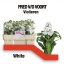 product/img.ozexport.nl/LLEVV-LIVE_fotos-0x4A381BFCEE4502C74F770B261E5A537B5D2B60A6.jpg