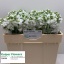 product/img.ozexport.nl/LLEVV-LIVE_fotos-0x7AF0F27A8067D2BAED346D2F25336D990037B483.jpg