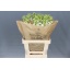 product/img.ozexport.nl/LLEVV-LIVE_fotos-0x89D76AEFFC353179C3E21BB5268C0E218BD3A2B6.jpg