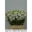 product/img.ozexport.nl/LLEVV-LIVE_fotos-0x93D88E700DFE6B07EF881A0D6439847EAB3F35A8.jpg