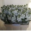 product/img.ozexport.nl/LLEVV-LIVE_fotos-0xAABD7D03A906B69926CC6B0B28DF7FE0DA2D4E48.jpg