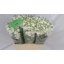 product/img.ozexport.nl/LLEVV-LIVE_fotos-0xAEFD3F532F9755F457BA4292E6C0C6550EBCFF10.jpg