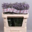 product/img.ozexport.nl/LLIMOHIB7-LIVE_fotos-0xF724056A19ED4E65AB0D47583E450724C88EEC2A.jpg