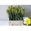 product/img.ozexport.nl/LNARLASV-LIVE_fotos-0xC73CA4DAFDF19645BE2F6D761E5169F6550D3910.jpg