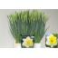 product/img.ozexport.nl/LNARLASV-LIVE_fotos-0xDAB9FD4F275F0A7357070AF4AA61538A4CBBECBA.jpg
