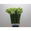 product/img.ozexport.nl/LORNS75-LIVE_fotos-0xDEFD0A941968643D82E9DB238A476B301A5C6A16.jpg