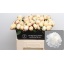 product/img.ozexport.nl/LPOJANNC5-LIVE_fotos-0xA36B909CD858E49FC9D84DD7D40BE4374A649E0B.jpg