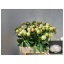 product/img.ozexport.nl/LPOJBOW6-LIVE_fotos-0xDC803D821FA66C5FE0398C8F5C42700CE581DCDA.jpg