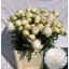 product/img.ozexport.nl/LPOJBOW6-LIVE_fotos-0xEF31D8F0DEF26247E07EC795B79720363ABEED55.jpg