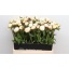product/img.ozexport.nl/LPOJMARNIC6-LIVE_fotos-0xFD294CAA309DF4E60177D25C2FA744EA8278CF57.jpg