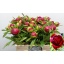 product/img.ozexport.nl/LPOJREDC-LIVE_fotos-0xC737FDADB92AA4AD17B7C568B87EDF2A771BB6E6.jpg