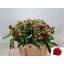 product/img.ozexport.nl/LPOJREDC-LIVE_fotos-0xCF7488484943BD52DACA3B65B6E61AD98AA72490.jpg
