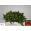 product/img.ozexport.nl/LPOJREDC-LIVE_fotos-0xEFB3E231815CEBAD775CCF33B3B43F80F04638EA.jpg