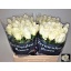 product/img.ozexport.nl/LRAKI6-LIVE_fotos-0xC3C6060B4EE66E3EFD23DEB3C8C7219B48CEF418.jpg