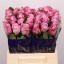 product/img.ozexport.nl/LRMAR4-LIVE_fotos-0xEB1139163E81CBF5FDE30459CC2C485646038442.jpg