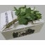 product/img.ozexport.nl/LSAL-ASSORTI_fotos-gcon-GCON Blad salal tips Grizzly Greens.JPG