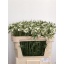 product/img.ozexport.nl/LSCACAUW6-LIVE_fotos-0x8D09CC499C39915001BB5297C2E4E48DD05A4A3E.jpg