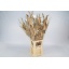 product/img.ozexport.nl/LSTR-LIVE_fotos-0x1B10A5121B11ACD8E6BE2DFCE0C1424AC6546D99.jpg