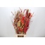 product/img.ozexport.nl/LSTR-LIVE_fotos-0x4D3E8DB3C37CBB66819016C61C920C289F657EFD.jpg