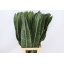 product/img.ozexport.nl/LSTR-LIVE_fotos-0xECF0E03B9FBCDF19ED6F075804920FFF7A4B60FF.jpg