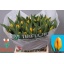 product/img.ozexport.nl/LTULBRIS-LIVE_fotos-0x920BC5D5C2495A4303F92C2D05CAF2585BF14E68.jpg