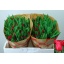 product/img.ozexport.nl/LTULSEA-LIVE_fotos-0x4C494A72D00114EEFA4C1211C2C584EF1DABD704.jpg