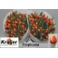 product/img.ozexport.nl/LTULTRO-LIVE_fotos-0xEC29603E0A4CE4E20045CF8A49CD6969479A31C3.jpg