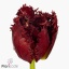 product/img.ozexport.nl/LTULVERS-ART_fotos-VBN110000-vbn113553.jpg