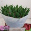product/img.ozexport.nl/LTULVERS-LIVE_fotos-0x20A54B65D9ED1F9CAE97A9B6FE577FB67B4E5EE0.jpg