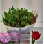 product/img.ozexport.nl/LTULVERS-LIVE_fotos-0xB4DE110BD40FF24B087E48C0F7351298082E7B9C.jpg