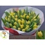 product/img.ozexport.nl/LTULYELM-LIVE_fotos-0x6B1A11A80B967E08D0154A2344BB97FF6F9264E1.jpg