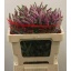 product/img.ozexport.nl/LVERSKYP5-LIVE_fotos-0xA2CF1D237F2A39E2AA43E53294F7CFB627CE7649.jpg