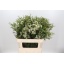 product/img.ozexport.nl/LWAXUNOF8-LIVE_fotos-0x6BA7231A6FC810D08CA848727B32FC9E241BDFE7.jpg