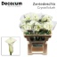product/img.ozexport.nl/LZANCRYSB5-LIVE_fotos-0xE6DE746948434D910C7C60255A572E01C4787E19.jpg