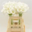 product/img.ozexport.nl/LZANIVOA5-LIVE_fotos-0xEC7C26E648C91D72F094CBA5143149BF2B16B2B0.jpg