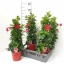 product/img.ozexport.nl/MANRED17-LIVE_fotos-0xE168201CB92B31D58DE9BEFECE4259CB497F9474.jpg