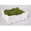 product/img.ozexport.nl/MOSS-LIVE_fotos-0x6ECC932BB83834D8CF5D2DA08E72B2C5D8F017C2.jpg