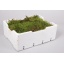 product/img.ozexport.nl/MOSS-LIVE_fotos-0x9483DB9AC9CE42914BD4F1C6E4CADDA2FE75E670.jpg