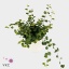 product/img.ozexport.nl/MUEL11-ART_fotos-VBN10000-vbn13646.jpg