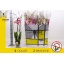 product/img.ozexport.nl/PHAL12-LIVE_fotos-0xC346F721571A86B07D08C46499BA2C100913DD34.jpg