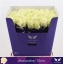 product/img.ozexport.nl/RAVAL7-LIVE_fotos-0x73A0AF687BF7D7B9AC91B4CEE98B478E91388F40.jpg