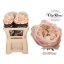 product/img.ozexport.nl/RCHI5-LIVE_fotos-0xF66C0C16CE2BDCAF0F6370ACC0C75DAEB9A0472D.jpg
