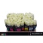product/img.ozexport.nl/RCOUNT5-LIVE_fotos-0xBDEEC7EA61EE19EDBB62EAF2A40CEF1DC9ECE6F3.jpg