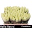 product/img.ozexport.nl/RCOUNT5-LIVE_fotos-0xED745FC8C048B918F724556CAA93CEF61BAF3A4F.jpg